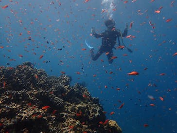 マリンショップtaitaiに投稿された画像（2021/9/21）