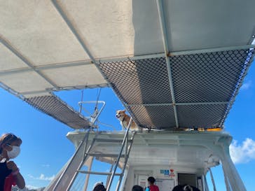 マリンショップtaitaiに投稿された画像（2021/9/21）