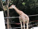 天王寺動物園に投稿された画像（2021/9/21）