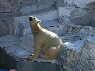 天王寺動物園に投稿された画像（2021/9/21）