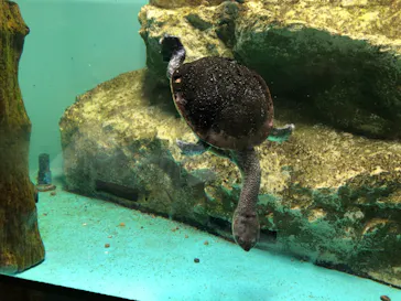 天王寺動物園に投稿された画像（2021/9/21）