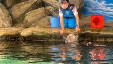マリンワールド海の中道に投稿された画像（2021/9/21）
