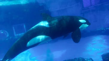 名古屋港水族館に投稿された画像（2021/9/21）