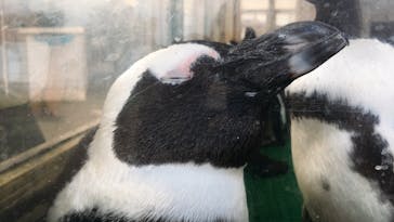 名古屋港水族館に投稿された画像（2021/9/21）