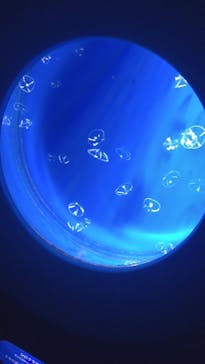 新江ノ島水族館に投稿された画像（2021/9/21）