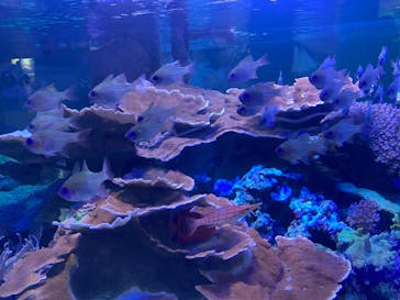 名古屋港水族館に投稿された画像（2021/9/21）