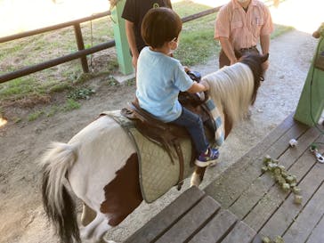 那須高原りんどう湖ファミリー牧場に投稿された画像（2021/9/21）