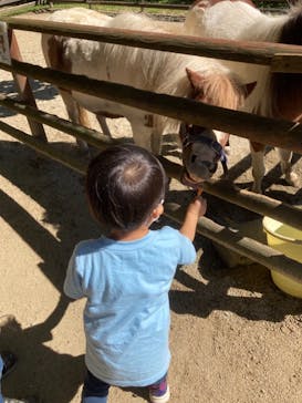 那須高原りんどう湖ファミリー牧場に投稿された画像（2021/9/21）