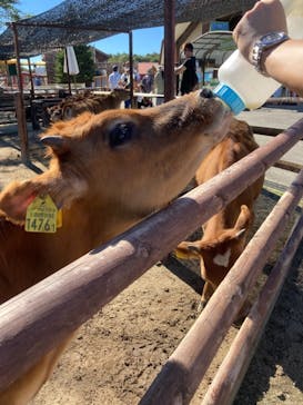 那須高原りんどう湖ファミリー牧場に投稿された画像（2021/9/21）