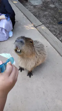 横浜・八景島シーパラダイスに投稿された画像（2021/9/21）