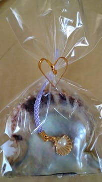 しながわ水族館に投稿された画像（2021/9/21）