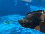 サンシャイン水族館に投稿された画像（2021/9/21）