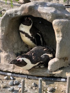 サンシャイン水族館に投稿された画像（2021/9/21）