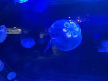 株式会社Gに投稿された画像（2021/9/21）