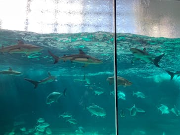 株式会社Gに投稿された画像（2021/9/21）