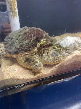 横浜・八景島シーパラダイスに投稿された画像（2021/9/21）