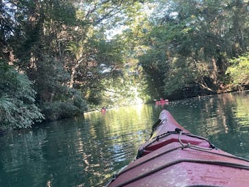 カヌーリゾートたまよどに投稿された画像（2021/9/21）