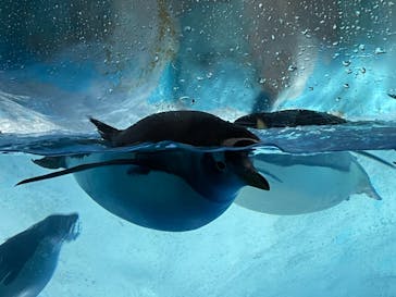 名古屋港水族館に投稿された画像（2021/9/21）