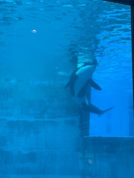 名古屋港水族館に投稿された画像（2021/9/21）