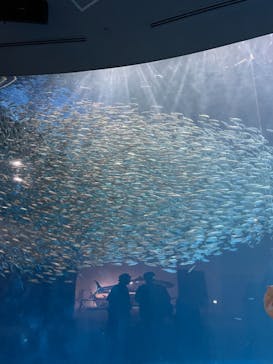 名古屋港水族館に投稿された画像（2021/9/21）