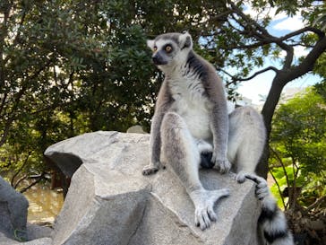 神戸どうぶつ王国に投稿された画像（2021/9/21）