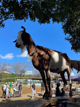 成田ゆめ牧場に投稿された画像（2021/9/21）