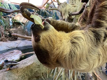 那須どうぶつ王国に投稿された画像（2021/9/21）