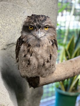 那須どうぶつ王国に投稿された画像（2021/9/21）