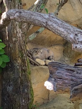 那須どうぶつ王国に投稿された画像（2021/9/21）