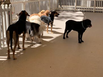 那須どうぶつ王国に投稿された画像（2021/9/21）