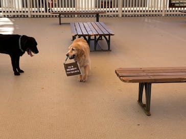 那須どうぶつ王国に投稿された画像（2021/9/21）