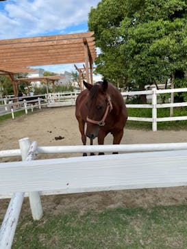 神戸どうぶつ王国に投稿された画像（2021/9/21）