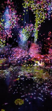 森ビル デジタルアート ミュージアム：エプソン チームラボボーダレスに投稿された画像（2021/9/21）