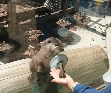 横浜・八景島シーパラダイスに投稿された画像（2021/9/21）