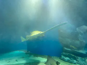 すみだ水族館に投稿された画像（2021/9/21）