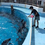 マリンワールド海の中道に投稿された画像（2021/9/21）