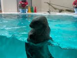 鳥羽水族館に投稿された画像（2021/9/21）