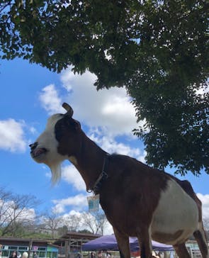 成田ゆめ牧場に投稿された画像（2021/9/21）