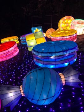 伊豆ぐらんぱる公園に投稿された画像（2021/9/21）