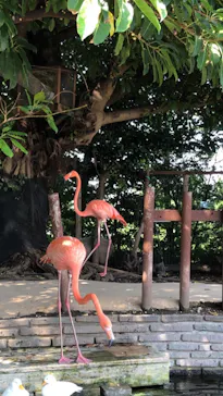 横浜・八景島シーパラダイスに投稿された画像（2021/9/21）