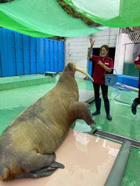 ゼロ距離水族館 伊勢シーパラダイスに投稿された画像（2021/9/22）