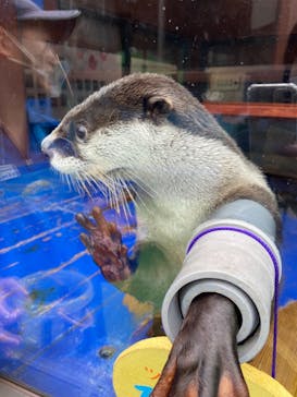 ゼロ距離水族館 伊勢シーパラダイスに投稿された画像（2021/9/22）