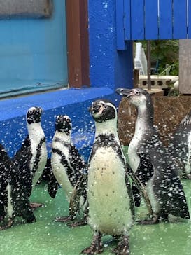 ゼロ距離水族館 伊勢シーパラダイスに投稿された画像（2021/9/22）