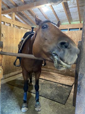 マリンズステーブルに投稿された画像（2021/9/22）