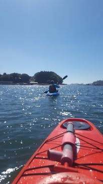 ラグーンガイドツアーズに投稿された画像（2021/9/22）