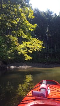 ラグーンガイドツアーズに投稿された画像（2021/9/22）