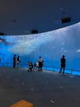 名古屋港水族館に投稿された画像（2021/9/22）