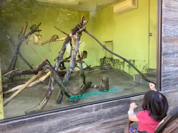 ひらかたパークに投稿された画像（2021/9/22）