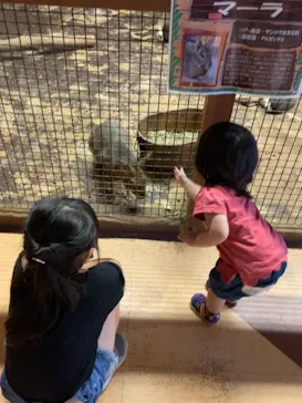 ひらかたパークに投稿された画像（2021/9/22）