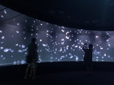 サンシャイン水族館に投稿された画像（2021/9/22）